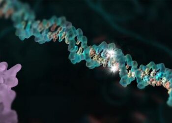 DNA strand
