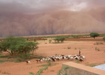 Intense dust storms, such as this haboob in Mali, proceed torrential rain in the Sahel.