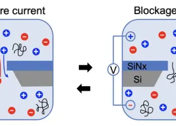 In single-molecule electrophoresis, there is a port just big enough for a polyzwitterion (squiggly line) to pass through, while charged electrolytes (blue and red) can flow freely.