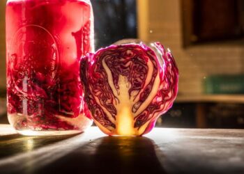 Fermented Food