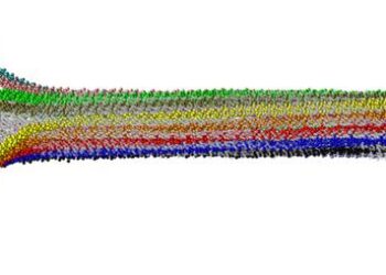 Microtubule simulation