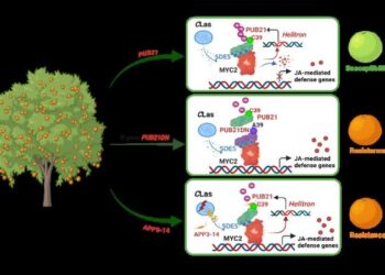 Decode natural resistance against citrus greening disease and Develop AI-designed disease treatment