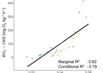 Oxygen consumption can be effectively estimated using video-based dynamic body acceleration (DBA)