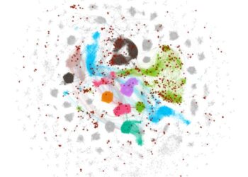 Revealing Highly Concentrated Contributors in Decision-Making Clusters