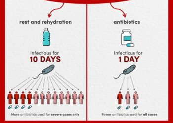 Cholera infographic
