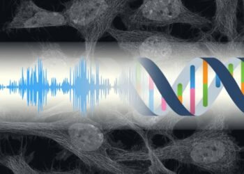 Your cells can hear