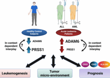 Emerging roles of ADAM6 and PRSS1 as novel diagnostic/prognostic biomarkers for acute lymphoblastic and myeloid leukemia in adults