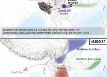 Population migration, replacement, and the preservation of deeply diverged ancestry in southern East Asia