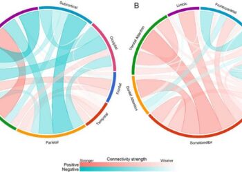 Intrinsic functional connectivity brain networks mediate effect of age on sociability