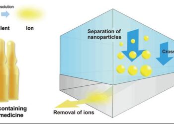 Overview of the proposed nanomedicine analytical method