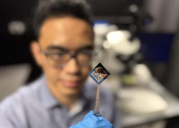 Researcher inspects the team's neuromorphic vision device