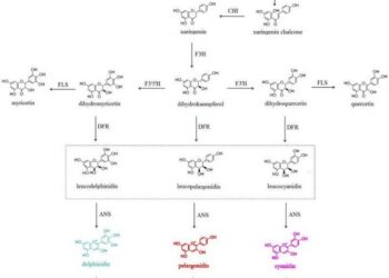 Figure.1