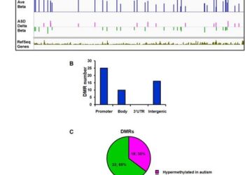 Mapping DNA methylation in brain samples of patients with autism spectrum disorder