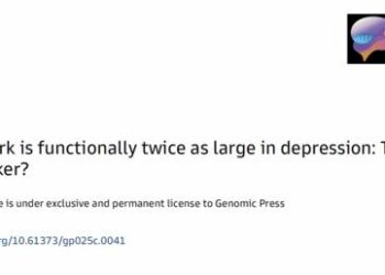 The salience network is functionally twice as large in depression