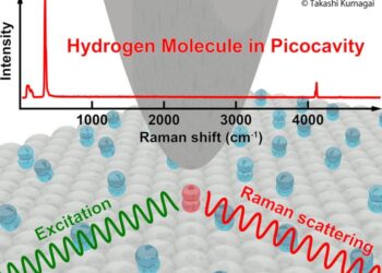 Raman scattering of a hydrogen molecule in a plasmonic picocavity