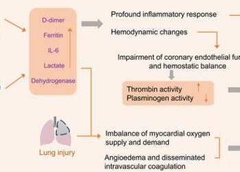 COVID-19 invades the body through a large number of ACE2 receptors in the heart and blood vessels, affecting cytokine levels and triggering an inflammatory response
