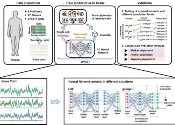 Image: General conceptual framework and validation of gPRINT
