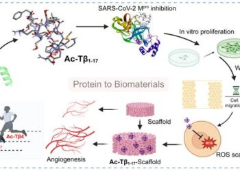 Development of a Bioactive Peptide Derived from Endogenous Protein