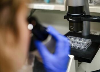 MSK Research