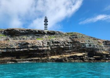 Fully protected marine areas in Brazil are contaminated by microplastics