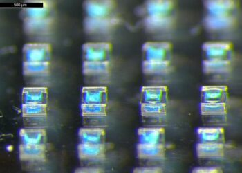 Self-boosting vaccines