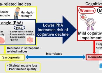 Overview of the study exploring the link between sarcopenia and cognitive decline
