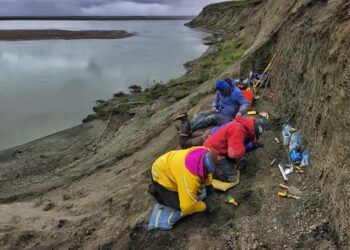 Excavation on Colville River