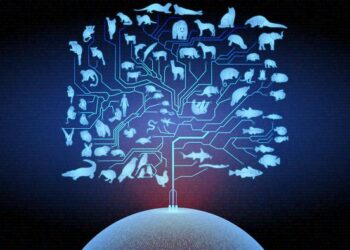 Artwork representing a species tree