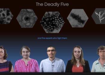 The Deadly Five and the Experts Who Fight Them