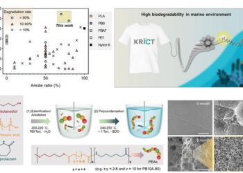 [1] Research results on Eco-friendly polyesteramide (PEA) materials with excellent mechanical properties and outstanding biodegradability in marine environments