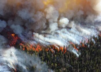 Evaluating fuelbreak strategies for compartmentalizing a fire-prone forest landscape in Alberta, Canada