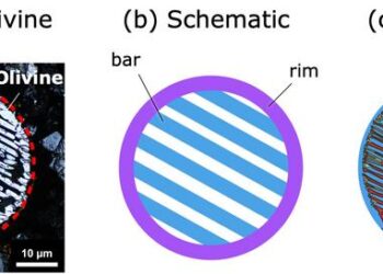 Replicating Barred Olivine