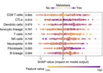 The importance of immune cell types in the XGBoost model.