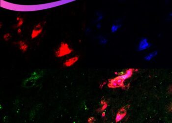 Genomic Press Cover Art