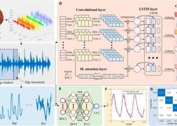 The whole process of data acquisition, preprocessing, feature extraction, model recognition, and prediction.
