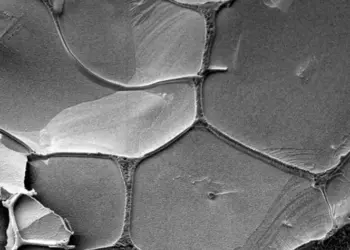 Liquid brine veins around solid ice crytals