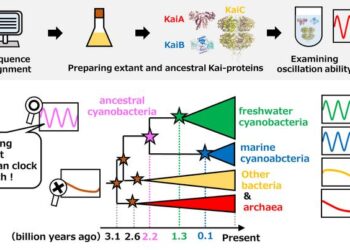 Molecular evolution of Kai-protein oscillator over 3 billion years