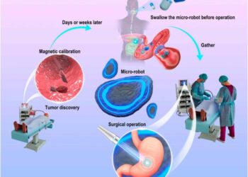 Schematic of soft robots with Cy5 for intraoperative navigation of gastric lesion.
