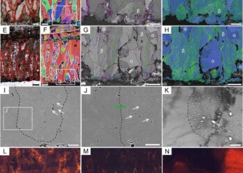 The differences between the biogenic and abiogenic calcite in dinosaur eggshells