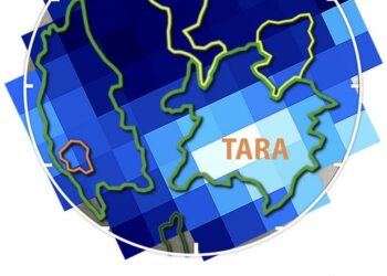 TARA