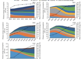 Primary energy consumption by fuel.