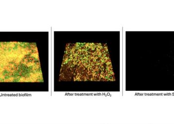 Research Image