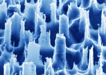 Electron Microscope Image
