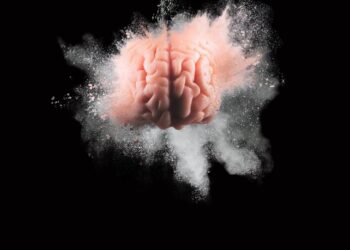 INI Brain