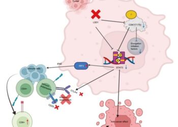 Mechanism of LSD1 Inhibition in Reversing OSCC Preneoplasia.