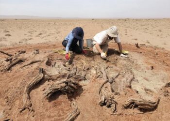Excavation at G05 at area