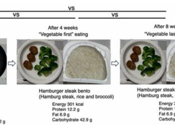Comparison of Meal Types and Eating Sequences Over an 8-Week Period