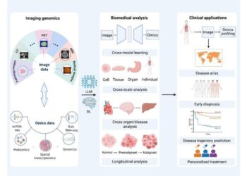 Roadmap for imaging genomics in the next decade