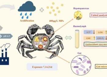 PHYSIOLOGICAL RESPONSES OF E. SINENSIS TO ACIDIFICATION-MICROPLASTICS CO-EXPOSURE