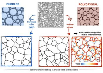 microstructure evolution